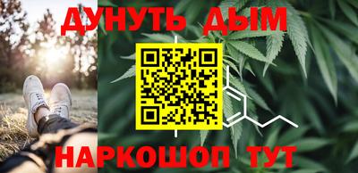 МДПВ Партизанск