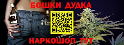 МДПВ Партизанск