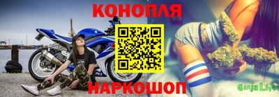 МДПВ Партизанск