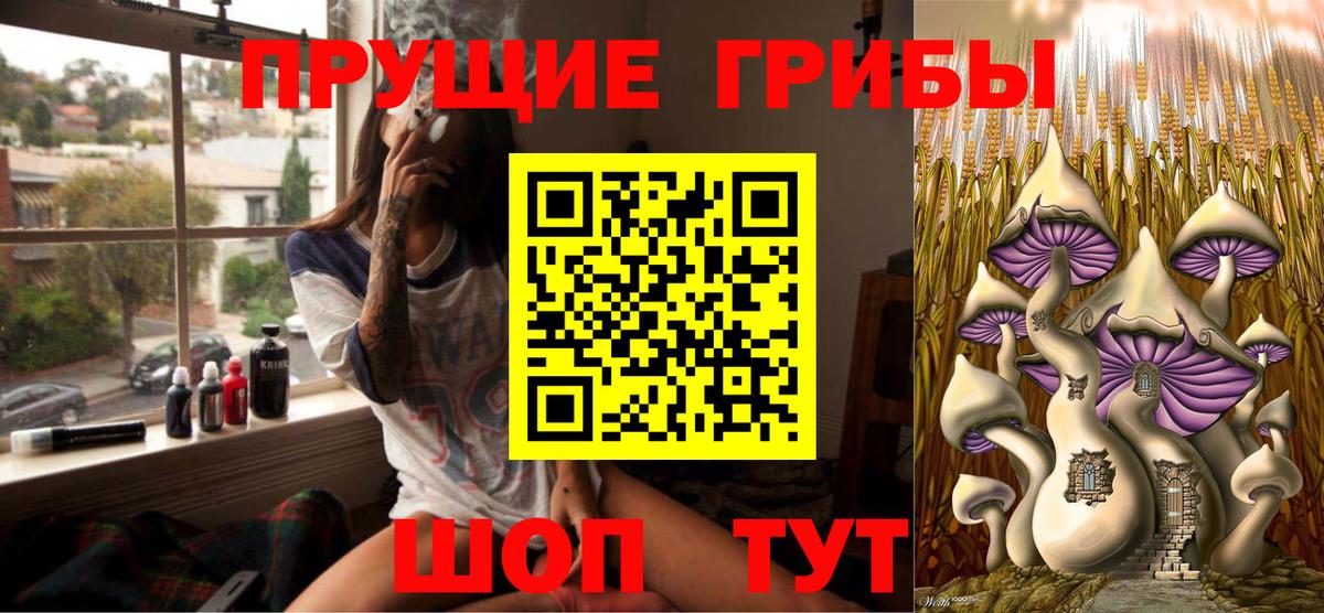 Солнечногорск  купить закладку  Псилоцибиновые грибы Psilocybine cubensis  Вход с VPN  Галлюциногенные грибы Psilocybine cubensis 