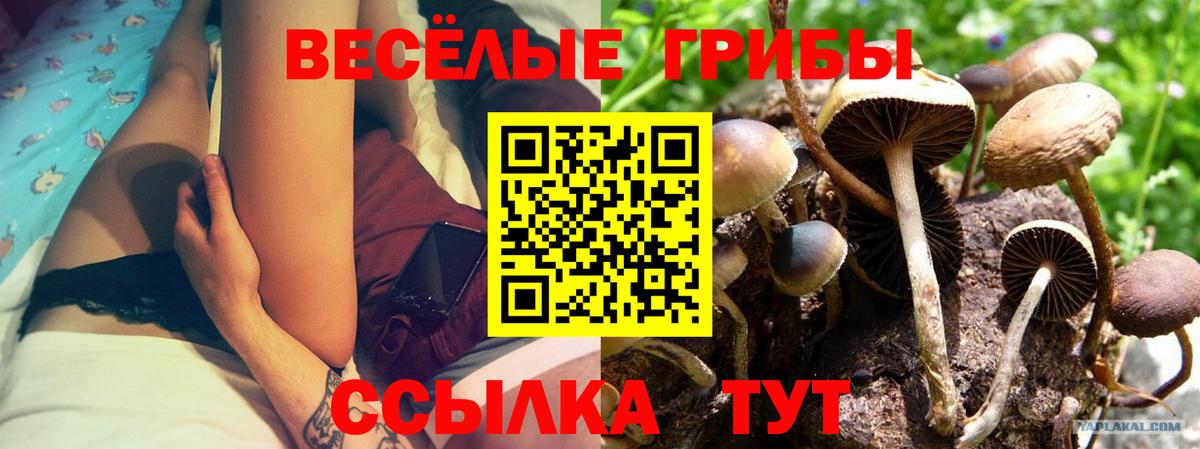 Галлюциногенные грибы MAGIC MUSHROOMS Солнечногорск